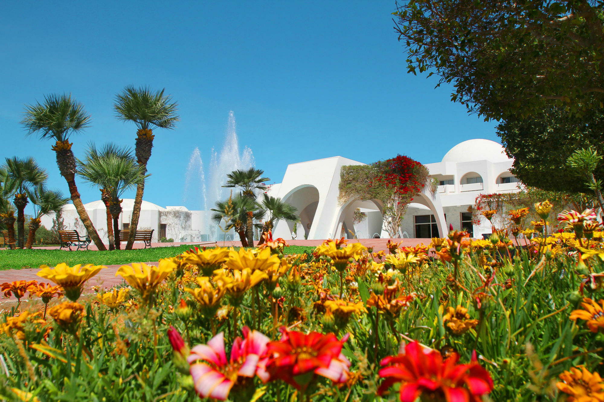 Djerba Plaza Thalasso & Spa Triffa Exteriör bild